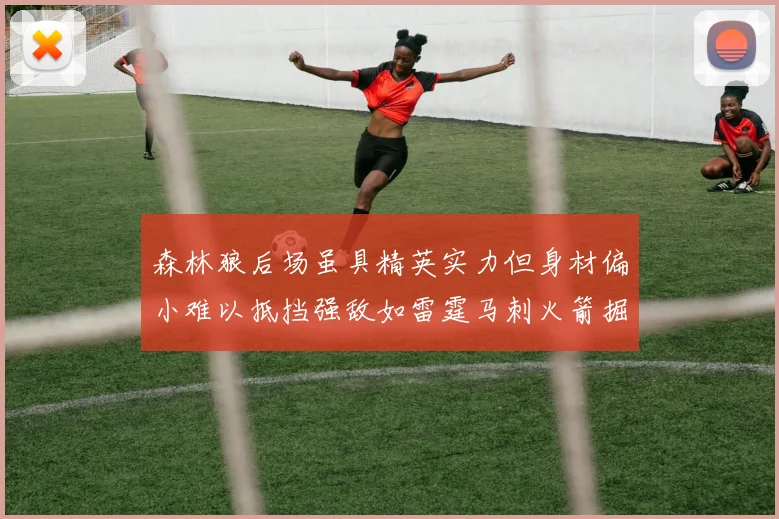 森林狼后场虽具精英实力但身材偏小难以抵挡强敌如雷霆马刺火箭掘金